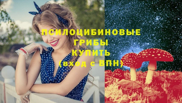 дмт Коряжма