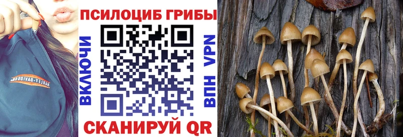 Купить закладки  Балей  Галлюциногенные грибы GOLDEN TEACHER 