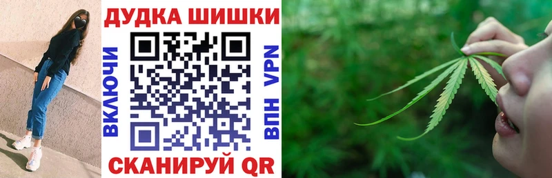 Купить  Балей  Конопля ГИДРОПОН 